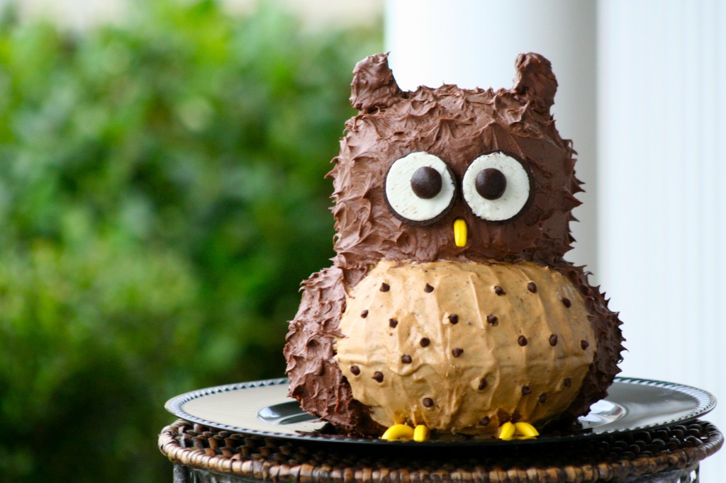 Owl Birthday Cakes