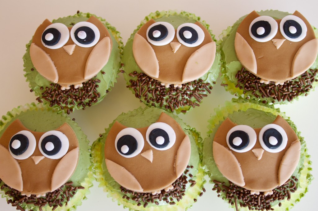 Owl Cakes and Cupcakes