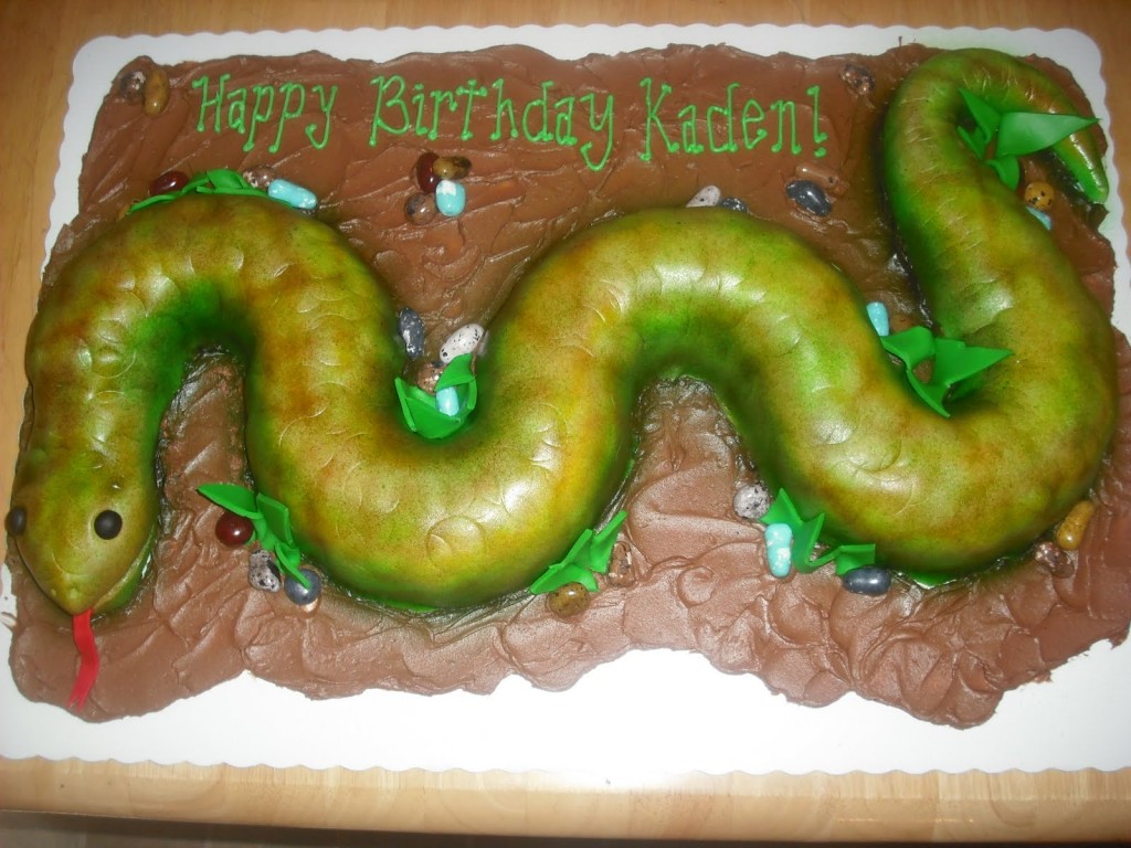 Picture of Snake Cake