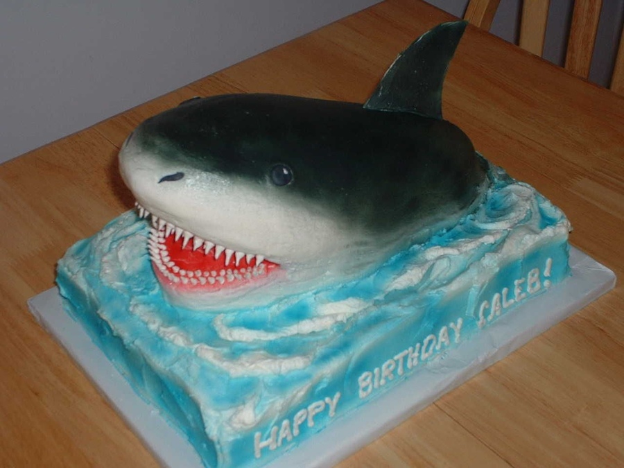 Shark Cake Pictures