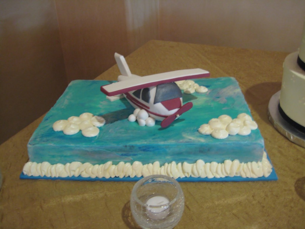 Airplane Cake Topper