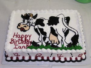 Cow Cakes Images