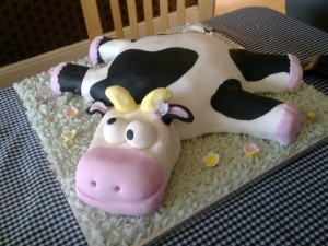 Cow Cakes Picture