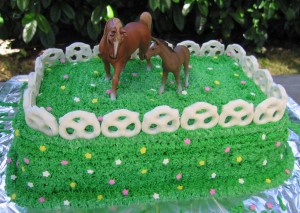 Horse Birthday Cake Ideas Picture