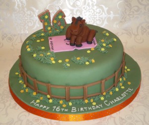 Pictures of Horse Cakes