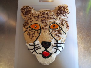 Cheetah Cake Ideas