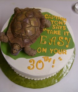 Turtle Birthday Cake Ideas
