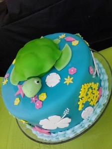 Turtle Cakes