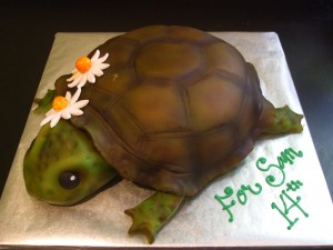 Turtle Cakes Ideas
