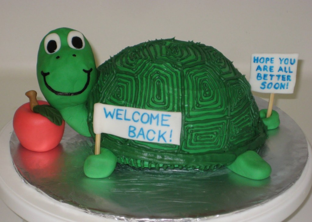 Turtle Cakes Images